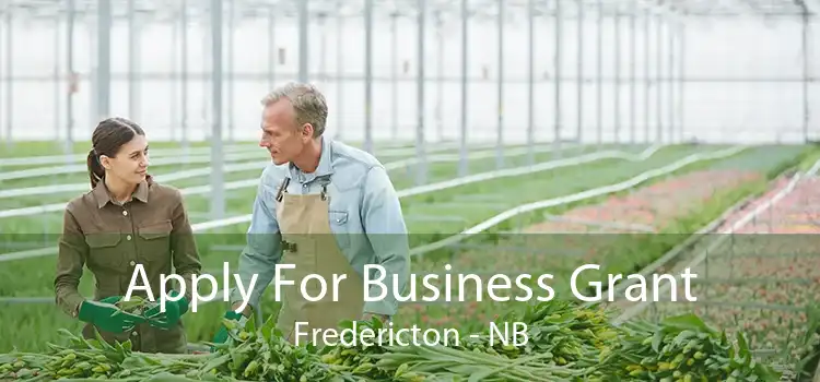 Apply For Business Grant Fredericton - NB